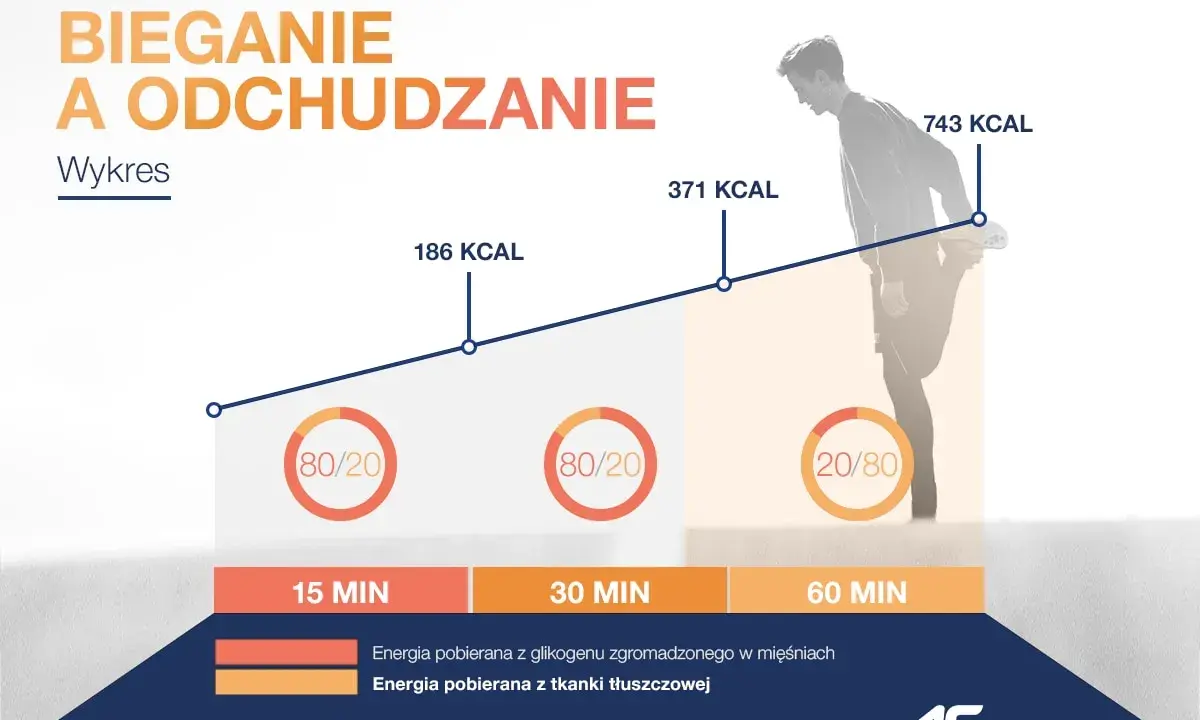 Wykres pokazuje, czy bieganie odchudza. Im dłużej biegniesz, tym więcej kalorii spalasz, głównie z tkanki tłuszczowej.