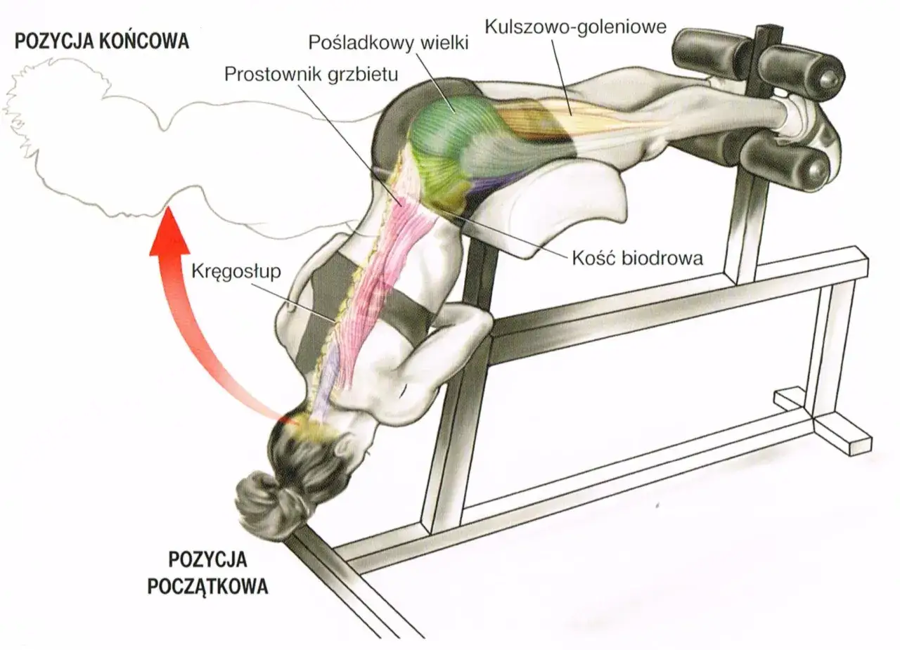 Ćwiczenia na klatce rzymskiej angażujące prostownik grzbietu i pośladki. Ilustracja pokazuje pozycję początkową i końcową.